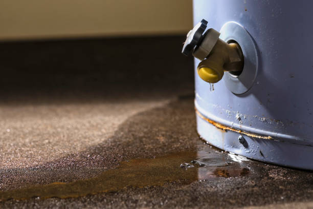 Best Water damage restoration near me  in Middlebush, NJ