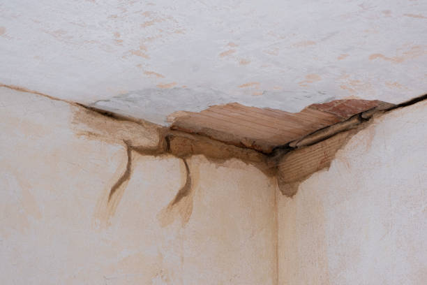 Best Flood restoration services  in Middlebush, NJ