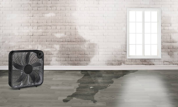 Best Sewage cleanup and water damage restoration  in Middlebush, NJ