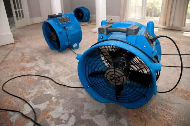 Best Professional water damage repair  in Middlebush, NJ