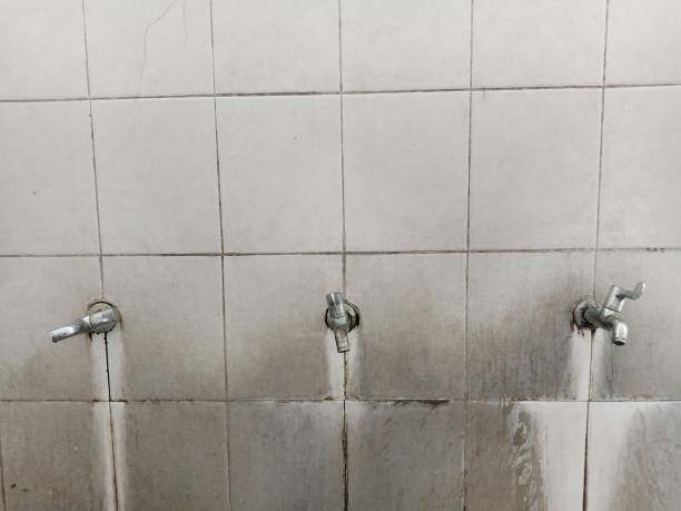 Best Fire Damage Restoration  in Middlebush, NJ