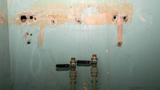 Best Local water damage restoration  in Middlebush, NJ
