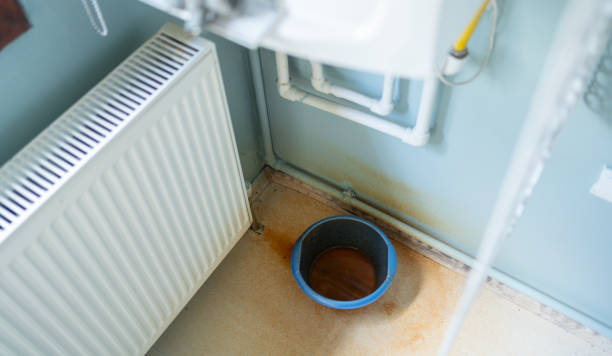 Best Ceiling water damage repair  in Middlebush, NJ