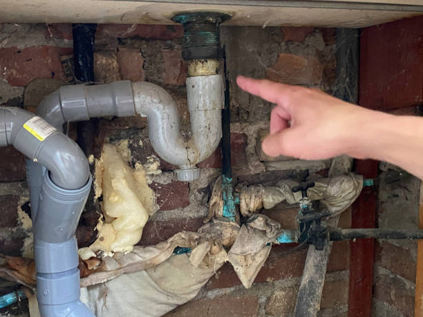 Best 24/7 water damage repair  in Middlebush, NJ