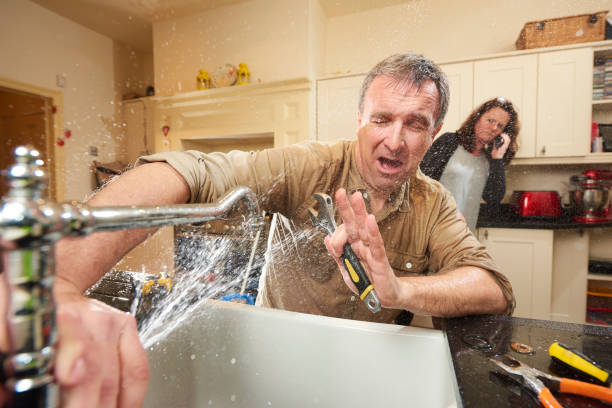 Best Water damage contractors near me  in Middlebush, NJ